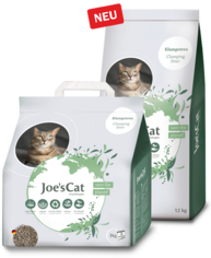 Joe's Cat