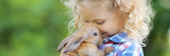 JRS Petcare Welt